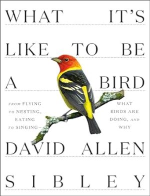 What It's Like to Be a Bird: From Flying to Nesting, Eating to Singing--What Birds Are Doing, and Why (Sibley Guides)