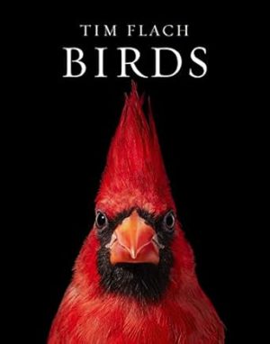 Birds: Photographs