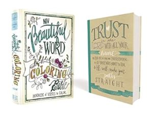 NIV, Beautiful Word Coloring Bible, Hardcover: Hundreds of Verses to Color