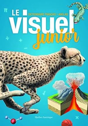 Le Visuel junior: Dictionnaire français - anglais (English and French Edition)