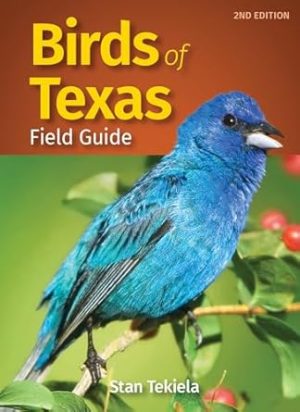 Birds of Texas Field Guide (Bird Identification Guides)