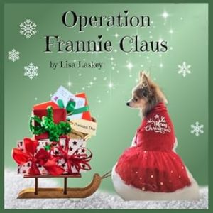Operation Frannie Claus (FranDan)