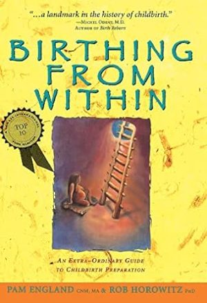 Birthing from Within: An Extra-Ordinary Guide to Childbirth Preparation