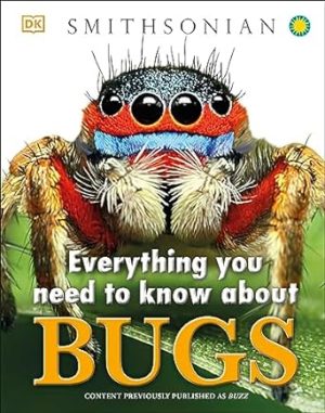 Everything You Need to Know About Bugs