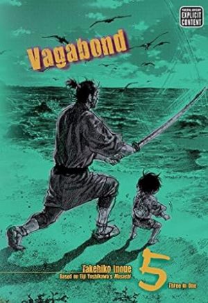 Vagabond, Vol. 5 (VIZBIG Edition)