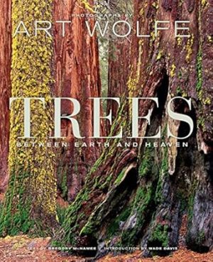 Trees: Between Earth and Heaven