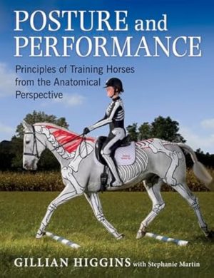 Posture and Performance: Principles of Training Horses from the Anatomical Perspective