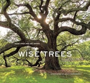 Wise Trees