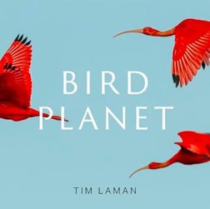 Bird Planet: A Photographic Journey