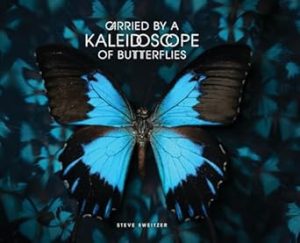 Carried by a Kaleidoscope of Butterflies