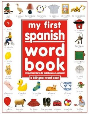 My 1st Spanish Word Book / Mi Primer Libro De Palabras EnEspanol: A Bilingual Word Book