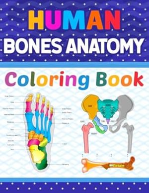 Human Bones Anatomy Coloring Book: Human Bones Anatomy Coloring Book For Kids Adults Boys Girls Teens and Medical Students. Great Book For Learn and ... Gift for Human Anatomy Students & Teachers.