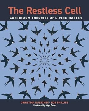 The Restless Cell: Continuum Theories of Living Matter