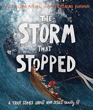 The Storm That Stopped (Tales That Tell the Truth)