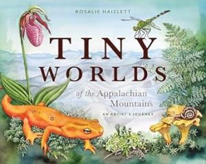 Tiny Worlds of the Appalachian Mountains: An Artist's Journey