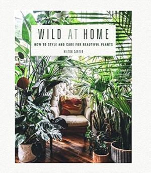 Wild at Home: How to style and care for beautiful plants
