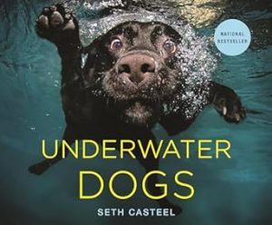 Underwater Dogs
